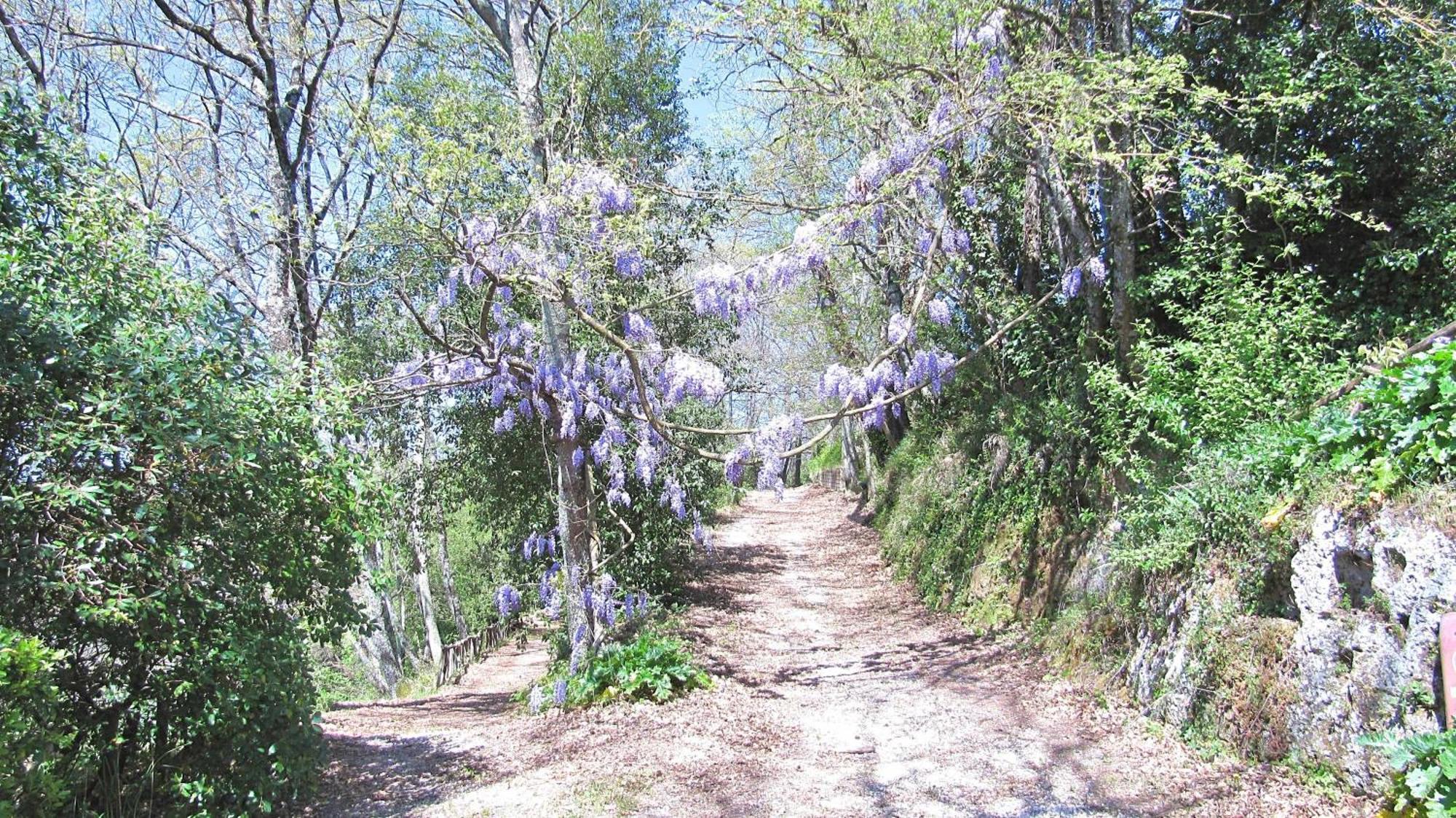 Montecasciano Primula Villa Capranica Dış mekan fotoğraf