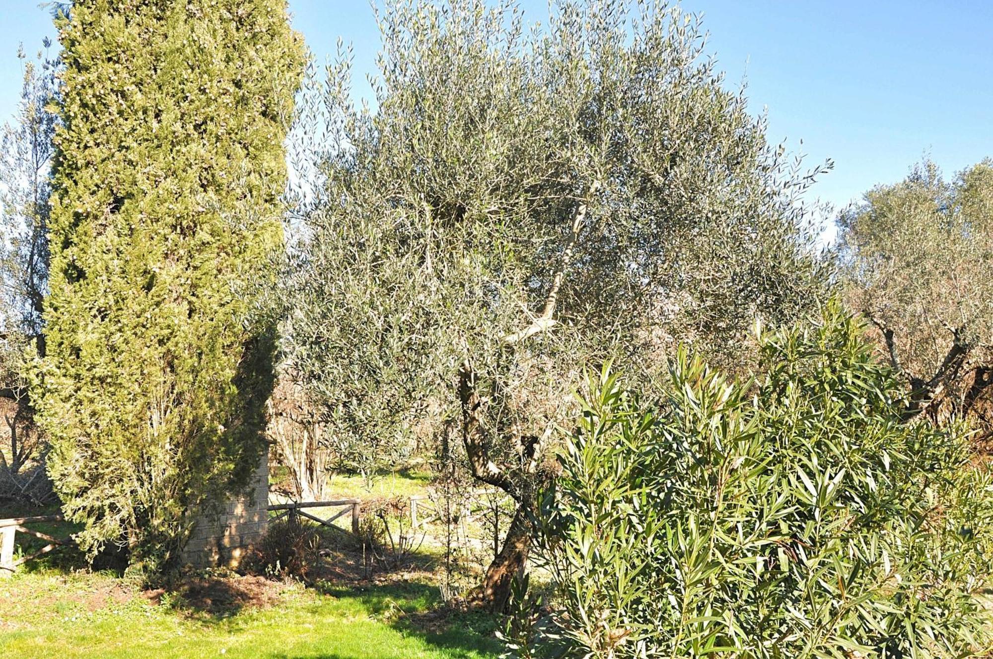 Montecasciano Primula Villa Capranica Dış mekan fotoğraf