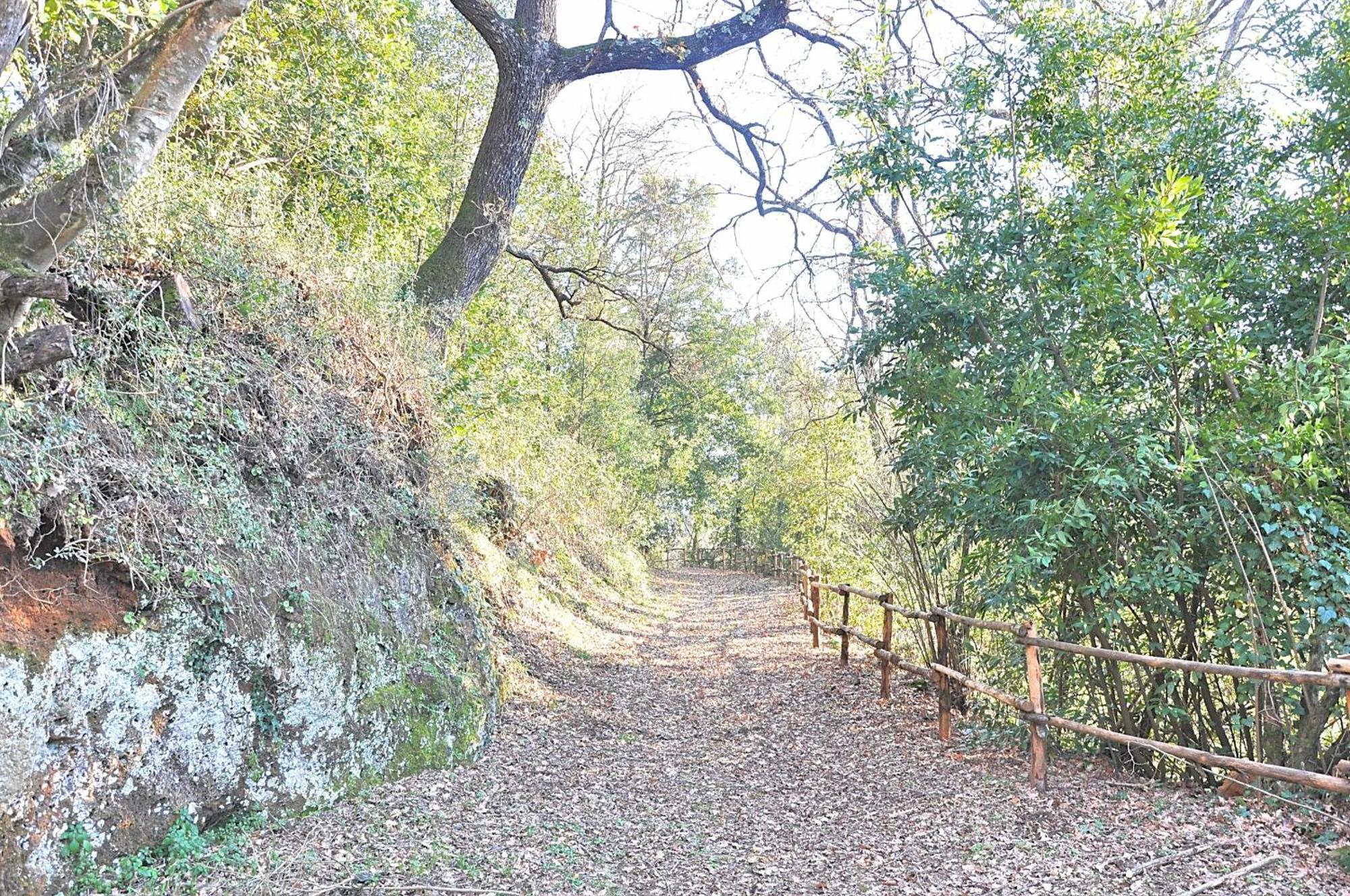 Montecasciano Primula Villa Capranica Dış mekan fotoğraf